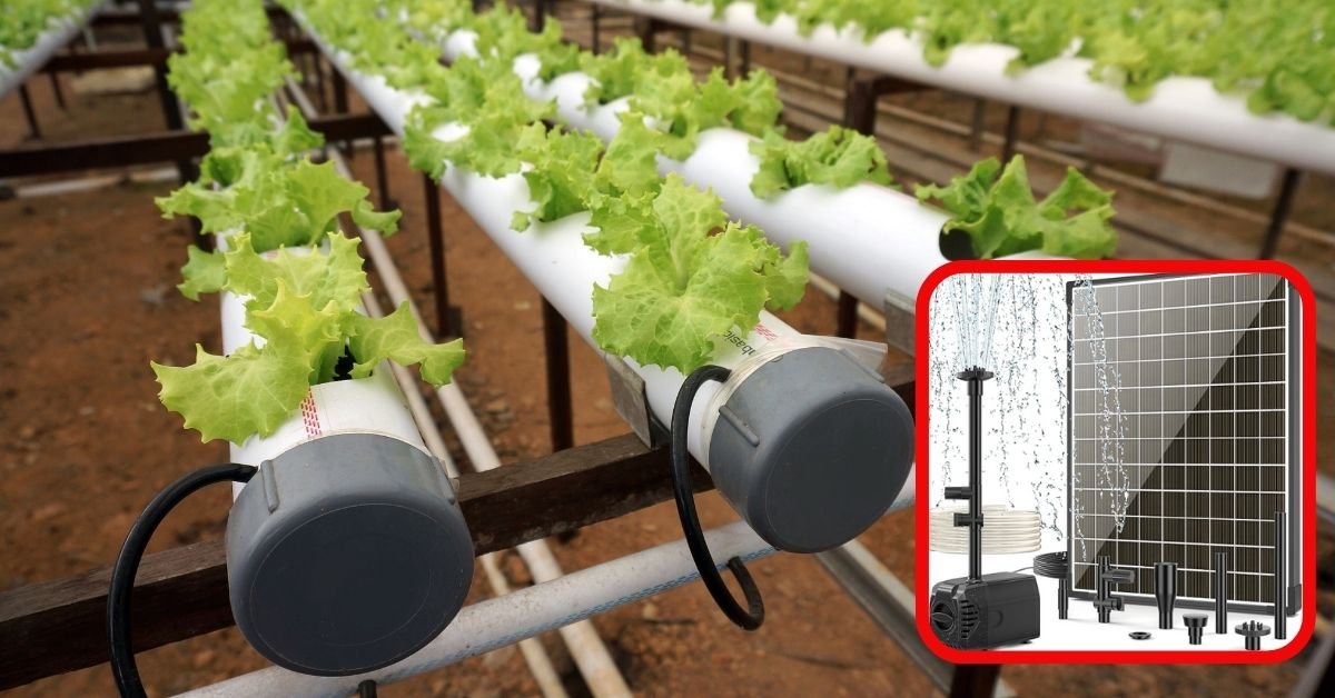 Sustainable hydroponic farm powered by solar water pump, showcasing green plants, solar panels, and efficient water circulation for eco friendly agriculture